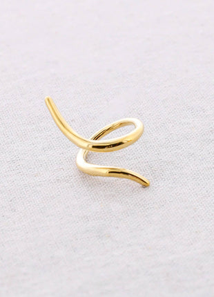 Anillo Acero Forma